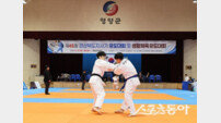 제45회 도지사기 유도대회 영양서 성황…404명 선수 열전