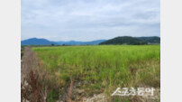 고흥군 해창만 태양광 ‘발목’‘…한전 변전소 준공 지연에 지역사회 분통