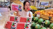 롯데백화점 “고당도 ‘수박 도시락’ 만나요”