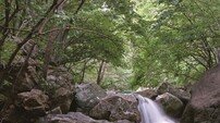 광양시 “에어컨보다 시원한 백운산” 4대 계곡 여름 피서객 유혹