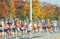 가을에 빠진 마라톤… 축제에 빠진 경주