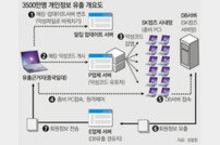 네이트·싸이월드 회원 3500만명 개인정보 中유출 확인