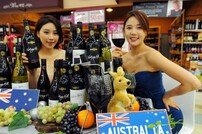 홈플러스, 호주 판매 1위 하디 와인 5종 출시