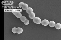 식인 박테리아, 87년 미국에서 처음 보고된 바이러스…일본 언론 반응은?