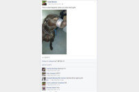 ‘테이프 개’ 사진에 미국사회 발칵 …"동물학대범 수사" 경찰서 항의전화 봇물
