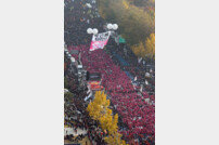 法. 광화문 민중 총궐기 집회에 청와대 인근 행진 허용