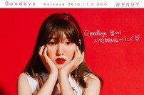 레드벨벳 웬디, ‘뷰티인사이드’ OST 공개…이다희♥안재현 테마곡 [공식]