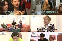 [TV북마크] ‘나혼자산다’ 한혜연·화사→박나래·성훈, 환상의 짝꿍 케미 폭발