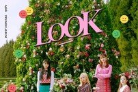 [DA:차트] 에이핑크 ‘덤더럼’, 4년 9개월 만에 차트 올킬