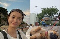 [DAY컷] ‘여름방학’ 정유미, 강아지 뽀삐 그리운가 “너 정말!”