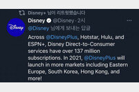 디즈니플러스, 내년 한국 시장에 도전장…넷플릭스와 치열한 경쟁 예고