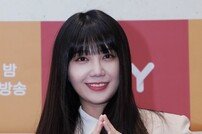 [전문] 에이핑크 정은지 고소 “지속적·악의적 스토킹” (공식)