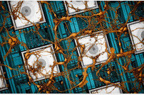 삼성전자, 뇌닮은 ‘뉴로모픽’칩 미래비전 제시