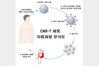 서울대병원, 소아백혈병 CAR-T 치료제 국내 최초 병원 생산