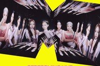 블랙핑크, 美 MTV VMAs 출연 [공식]