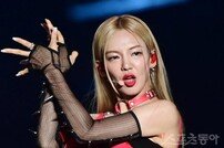 소녀시대 효연 심경 “돈 가져도 되니 지갑 돌려 달라”