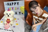 아이브 안유진, 스무살 생일 맞이 상큼 비주얼…“해피 안댕댕데이” [DA★]