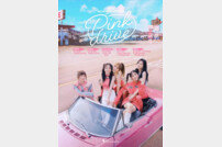 ‘4월 컴백’ 에이핑크, 팬콘 포스터 공개…5인 완전체 ‘핑크 드라이브’