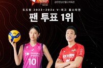 김연경-신영석, 별 중의 별로…V리그 올스타 40인 선정