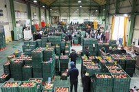 청송군, 2024년 농정예산에 1040억원 투입…군 예산 24%