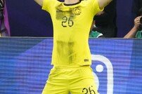 말레이시아에 다 퍼준 한국, 17년 만의 골-44년 만의 승점