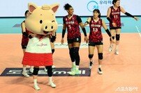 김지원, 돼지인형으로 변신~ [포토]