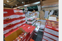 인천시 농산물도매시장, ‘성수품 1만여 톤’ 공급
