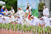 담양 대나무축제, 명실상부 대한민국 대표 축제 자리매김