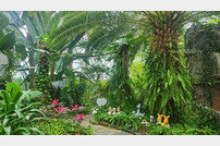 울산시설공단, 대공원 생태여행관에 열대식물 8종 식재