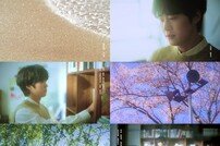 NCT 도영, 첫 솔로 앨범 하라메 공개…친형 공명 지원사격 ‘훈훈’