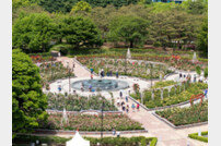 [포토] 2024 고양국제꽃박람회 ‘지구환경 정원’
