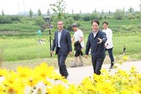 창릉천 유채꽃 축제… 고양시 [포토]