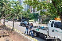 오산시, 호우 대비 고사목 제거 등 수목 정비