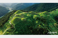 경북도, 고령 대가야 고도 지정 결정