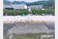 제16회 보성전어축제 성황리 폐막