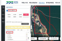 시흥시 명품 물왕호수 수변, 불법 시설물 논란
