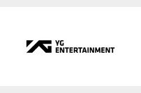 JYP 이어 YG도 "부적절 딥페이크 제작물 법적 조치"