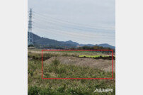 ‘죽음의 땅’ 안산 대부북동 불법 매립…해양 생태계 비상