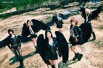 퍼플키스, 검은 날개 달고 작정한 비상