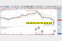 “고려아연 주가 의도적으로 끌어내렸나” 수차례 ‘수상한 매도 급증’