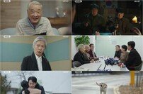 종영 ‘개소리’ 이순재가 만든 최고의 힐링 드라마 [TV종합]