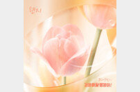 코다브릿지, ‘결혼하자 맹꽁아’ OST 오늘(11일) 발매