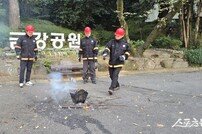 부산시설공단, 금강공원 주요등산로 15개소에 투척용 소화기 300개 설치