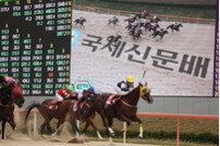 [경마]0.2초로 갈린 우승, 국제신문배 대상경주서 강서자이언트 우승  