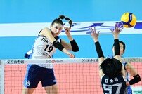 7년 만에 6연승 질주한 IBK기업은행, ‘우크라이나 폭격기’ 빅토리아를 누가 막으리요?
