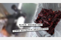 “고추 빻으시나요?” 남자 성기 움켜쥔 여자 충격 행동 (궁금한 이야기Y)