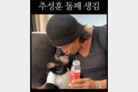 추사랑 동생 최초 공개…추성훈, 둘째 입맞춤에 아빠미소