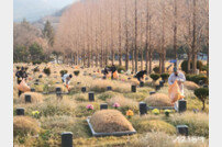 부산시설공단, 설명절 앞두고 영락·추모공원 플라스틱 조화 수거·폐기 박차