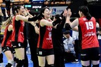 ‘윗물’ 괴롭히는 페퍼-도공-GS…하위팀들의 반란, 봄배구 경쟁 ‘태풍의 눈’으로