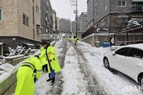 고양시, 기습강설에 “전직원 1/2 제설 작업” 총력 대응